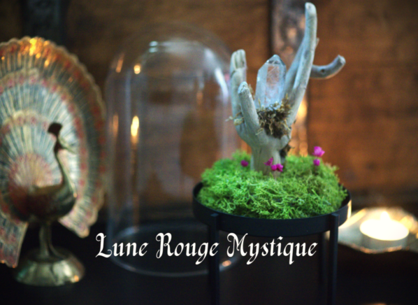 Cloche curiosités déco ésotérique avec cristal de roche