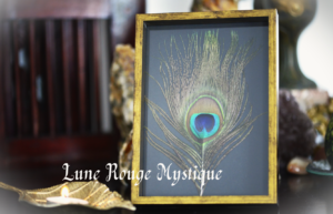 Cadre plumes de paon